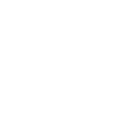 Cybersecurity Consulting Services